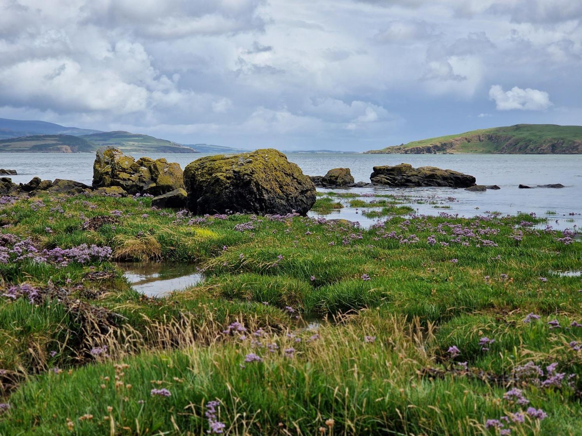 Balcary Bay Country House Hotel Auchencairn Eksteriør billede